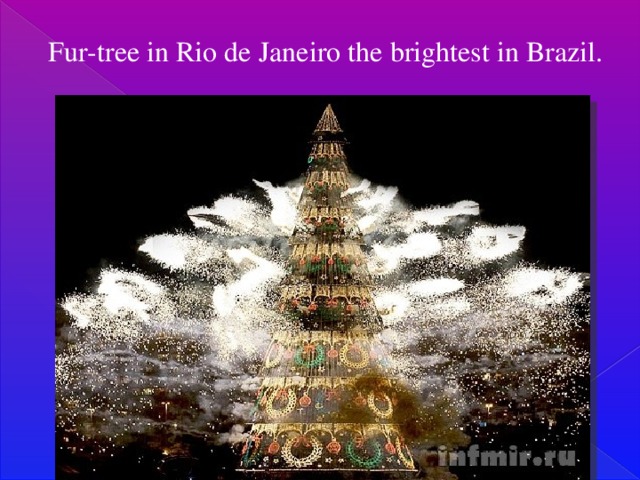 Fur-tree in Rio de Janeiro the brightest in Brazil.