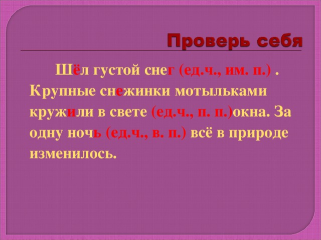 Ш ё л густой сне г (ед.ч., им. п.) . Крупные сн е жинки мотыльками круж и ли в свете (ед.ч., п. п.) окна. За одну ноч ь (ед.ч., в. п.) всё в природе изменилось.