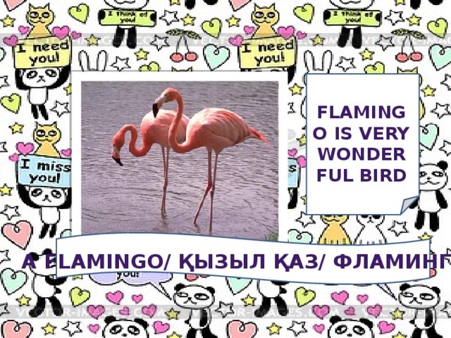 Flamingo is very wonderful bird A FLAMINGO/ Қызыл қаз/ фламинго