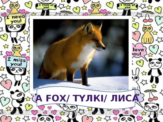 A fox/ түлкі/ лиса