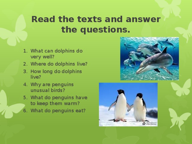 Read the texts and answer the questions.