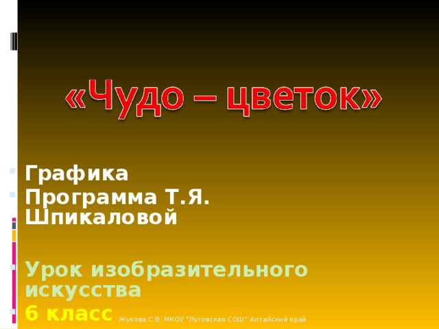 Графика Программа Т.Я. Шпикаловой  Урок изобразительного искусства 6 класс