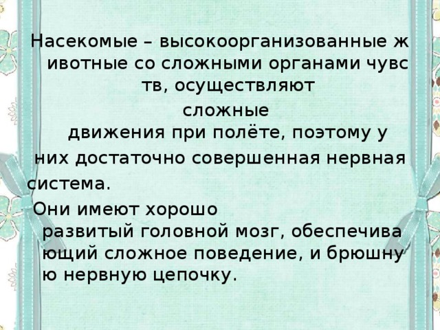 Насекомые – высокоорганизованные животные со сложными органами чувств, осуществляют   сложные движения при полёте, поэтому у   них достаточно совершенная нервная  система.   Они имеют хорошо развитый головной мозг, обеспечивающий сложное поведение, и брюшную нервную цепочку. 