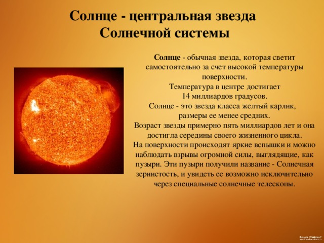 Солнце - центральная звезда Солнечной системы Солнце - обычная звезда, которая светит самостоятельно за счет высокой температуры поверхности.  Температура в центре достигает 14 миллиардов градусов. Солнце - это звезда класса желтый карлик, размеры ее менее средних. Возраст звезды примерно пять миллиардов лет и она достигла середины своего жизненного цикла. На поверхности происходят яркие вспышки и можно наблюдать взрывы огромной силы, выглядящие, как пузыри. Эти пузыри получили название - Солнечная зернистость, и увидеть ее возможно исключительно через специальные солнечные телескопы.