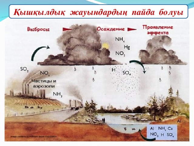 Қышқылдық жауындардың пайда болуы