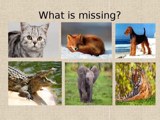 What is missing?