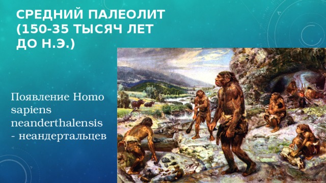 Средний палеолит  (150-35 тысяч лет до н.э.) Появление Homo sapiens neanderthalensis - неандертальцев