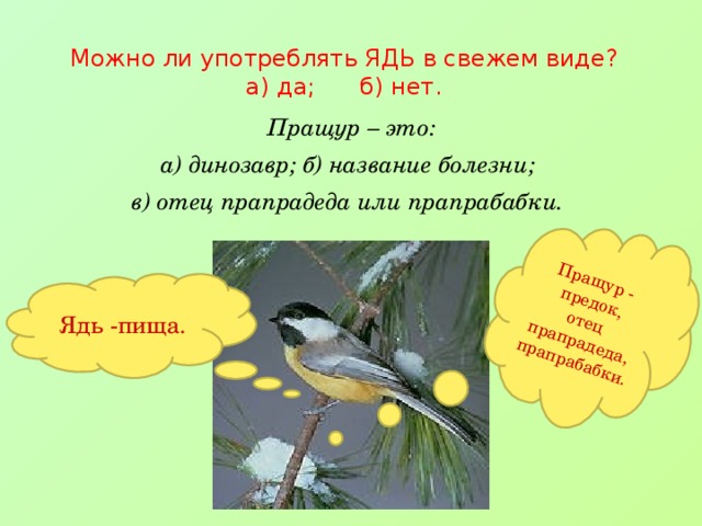 Пращур - предок, отец прапрадеда, прапрабабки. Можно ли употреблять ЯДЬ в свежем виде? а) да; б) нет. Пращур – это: а) динозавр; б) название болезни; в) отец прапрадеда или прапрабабки.  Ядь -пища.