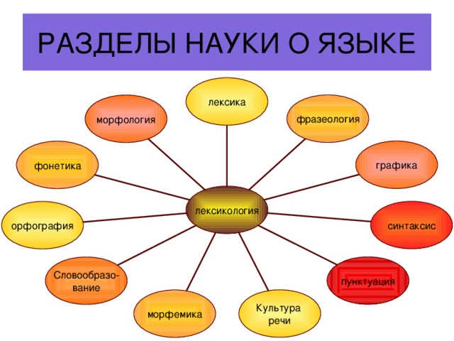 РАЗДЕЛЫ НАУКИ О ЯЗЫКЕ лексика фразеология морфология графика фонетика лексикология синтаксис орфография пунктуация Словообразо- вание Культура речи морфемика