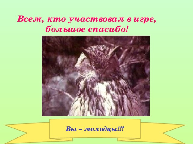 Всем, кто участвовал в игре, большое спасибо! Вы – молодцы!!!