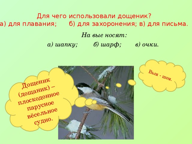 Дощеник (дощаник) –плоскодонное парусное вёсельное судно. Выя - шея. Для чего использовали дощеник? а) для плавания; б) для захоронения; в) для письма. На вые носят: а) шапку; б) шарф; в) очки.