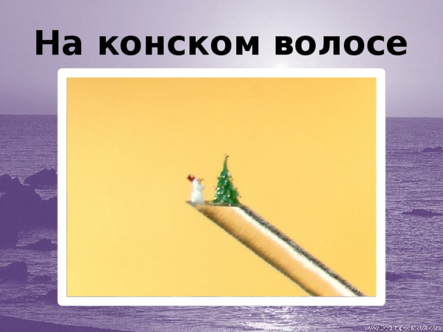 На конском волосе