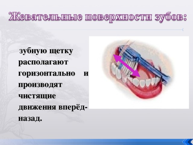 зубную щетку располагают горизонтально и производят чистящие движения вперёд-назад .