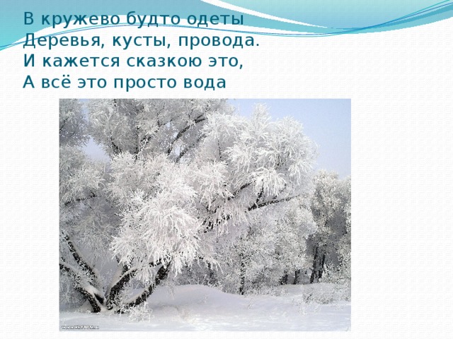 В кружево будто одеты  Деревья, кусты, провода.  И кажется сказкою это,  А всё это просто вода