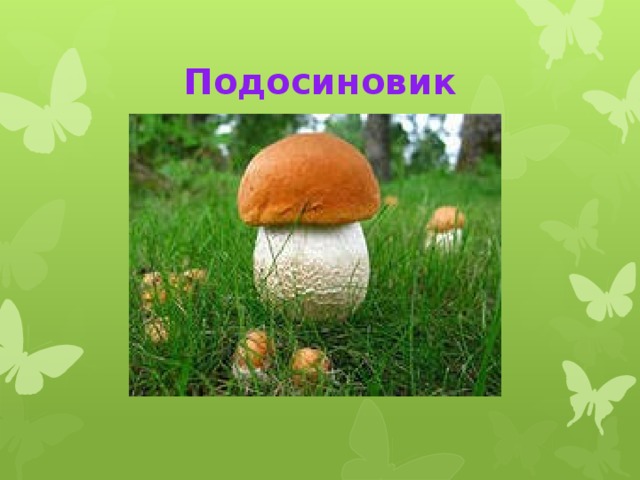 Подосиновик