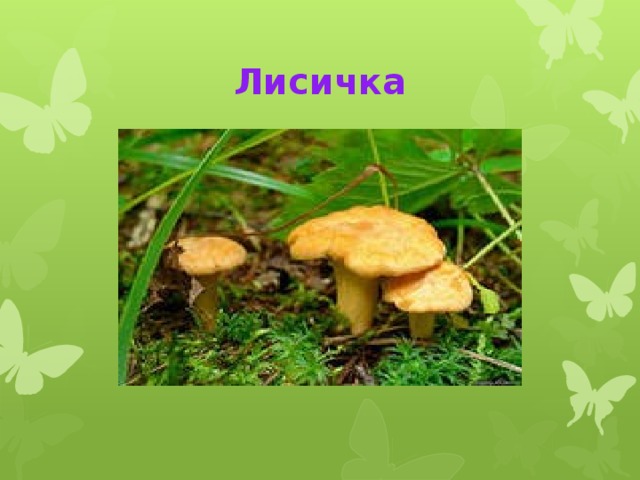 Лисичка