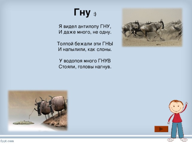 Гну :)   Я видел антилопу ГНУ,  И даже много, не одну.   Толпой бежали эти ГНЫ  И напылили, как слоны.   У водопоя много ГНУВ  Стояли, головы нагнув.