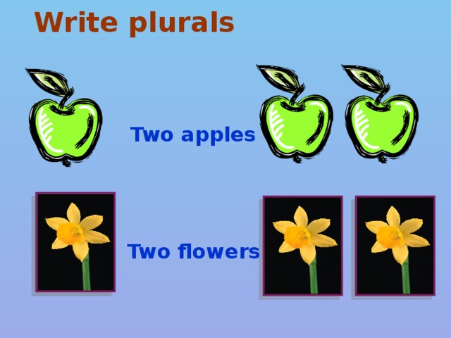 Write plurals Two apples Two flowers
