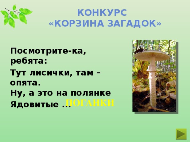 Конкурс  «Корзина загадок» Посмотрите-ка, ребята: Тут лисички, там – опята.  Ну, а это на полянке Ядовитые ... ПОГАНКИ