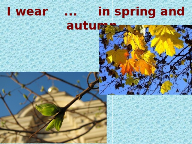 I wear ... in spring and autumn.