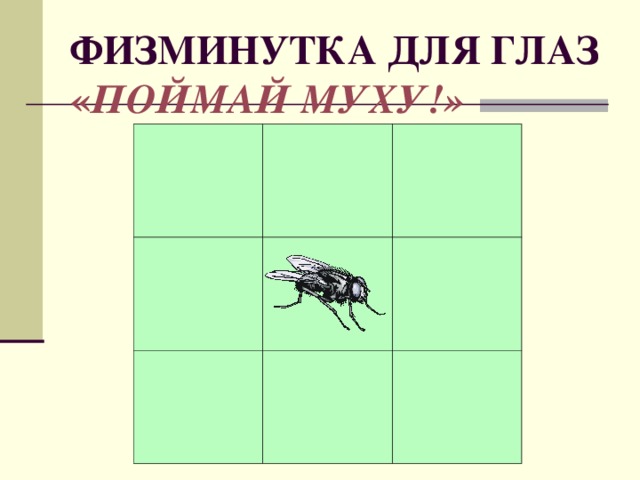 ФИЗМИНУТКА ДЛЯ ГЛАЗ  « ПОЙМАЙ МУХУ!»