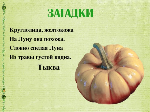 Круглолица, желтокожа  На Луну она похожа.  Словно спелая Луна  Из травы густой видна. Тыква