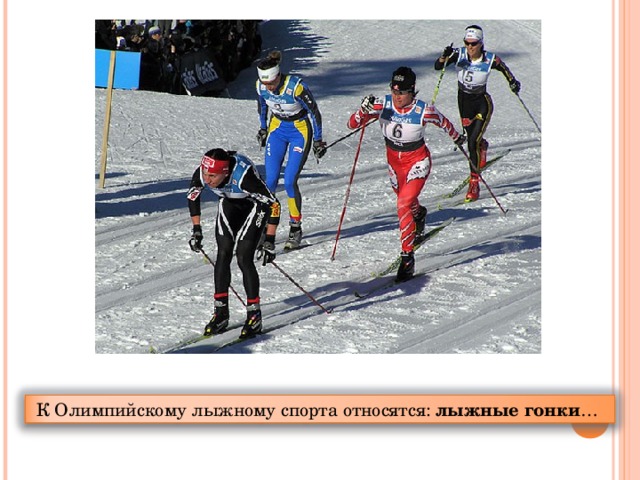 К Олимпийскому лыжному спорта относятся: лыжные гонки …