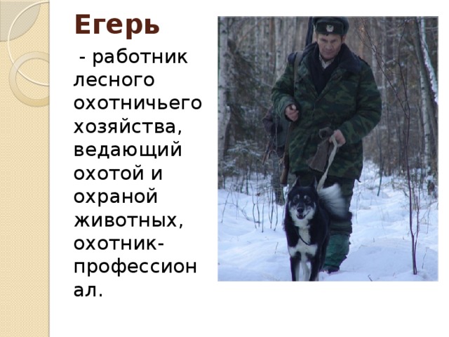 Егерь  - работник лесного охотничьего хозяйства, ведающий охотой и охраной животных, охотник-профессионал.