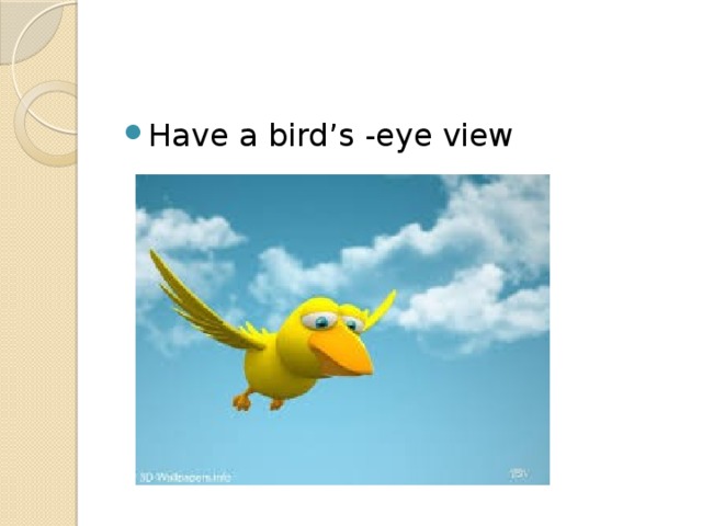 Have a bird’s -eye view