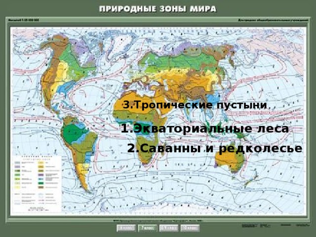 3.Тропические пустыни 1.Экваториальные леса 2.Саванны и редколесье