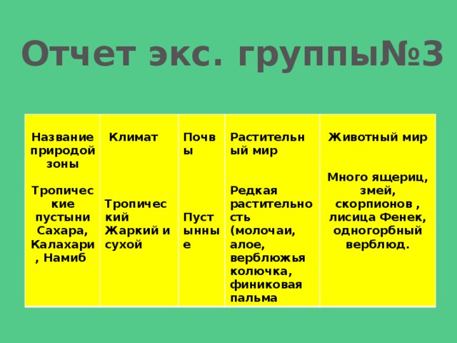 Пустыня характеристика природной зоны