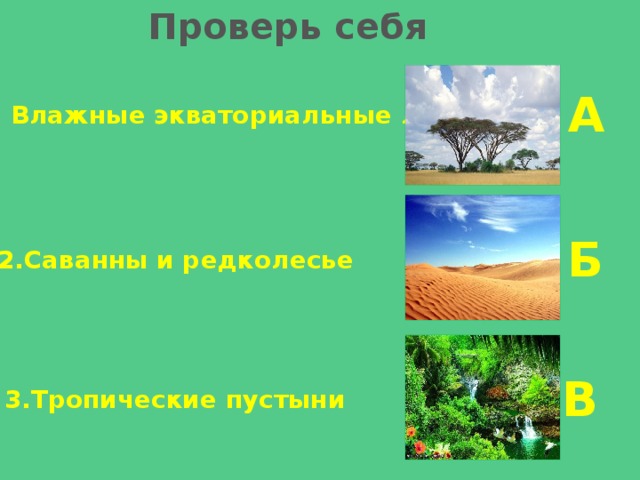 Проверь себя  А 1. Влажные экваториальные леса Б 2.Саванны и редколесье В 3.Тропические пустыни