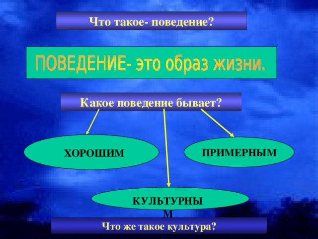 Какое поведение самая хорошая. Какое бывает поведение. Каким бывает поведение. Какое бывает поведение человека. Каким бывает поведение человека.