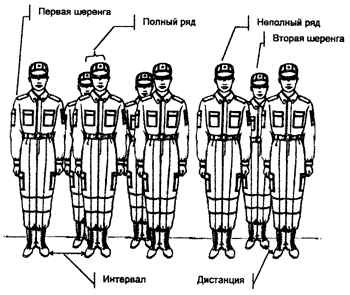 На рисунке определите где колонна а где шеренга