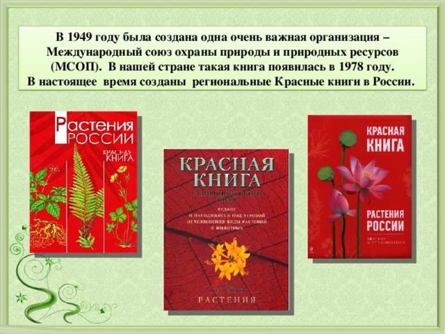 В 1949 году была создана одна очень важная организация – Международный союз охраны природы и природных ресурсов (МСОП).  В нашей стране такая книга появилась в 1978 году. В настоящее  время созданы  региональные Красные книги в России.