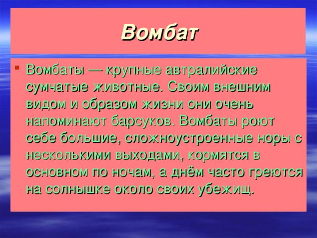 Вомбат Вомбаты — крупные автралийские сумчатые животные. Своим внешним видом и образом жизни они очень напоминают барсуков. Вомбаты роют себе большие, сложноустроенные норы с несколькими выходами, кормятся в основном по ночам, а днём часто греются на солнышке около своих убежищ.