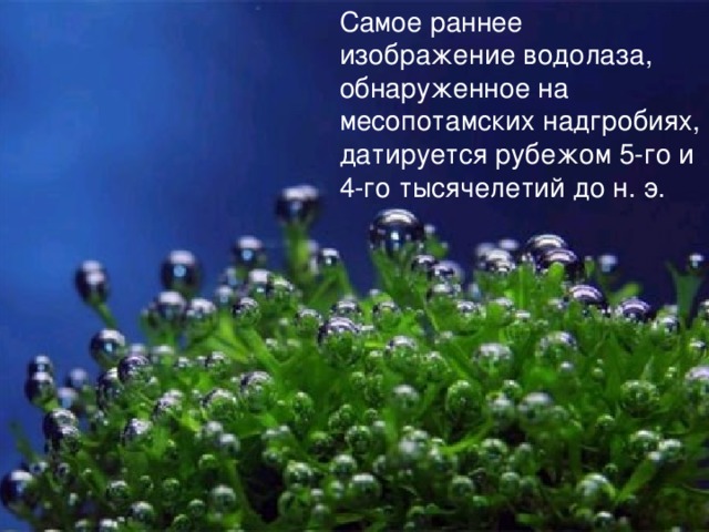 Самое раннее изображение водолаза, обнаруженное на месопотамских надгробиях, датируется рубежом 5-го и 4-го тысячелетий до н. э.