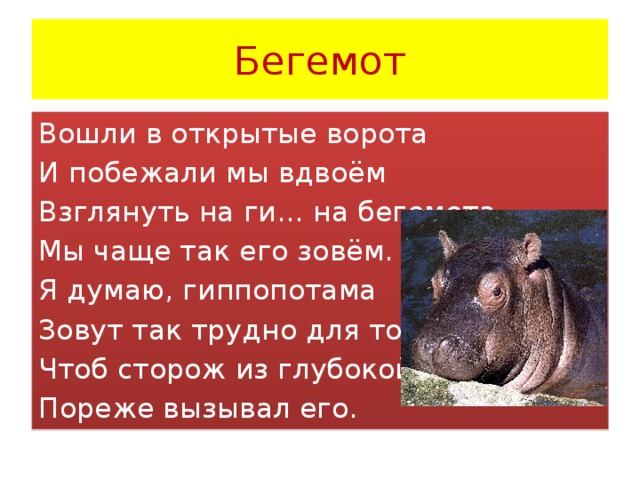 Бегемот Вошли в открытые ворота И побежали мы вдвоём Взглянуть на ги… на бегемота, Мы чаще так его зовём. Я думаю, гиппопотама Зовут так трудно для того, Чтоб сторож из глубокой ямы Пореже вызывал его.