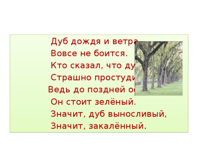 Текст дубы. Дуб дождя и ветра вовсе не боится. Предложение со словом дуб. Дуб дождя и ветра. Дуб дождя и ветра вовсе не боится кто сказал.