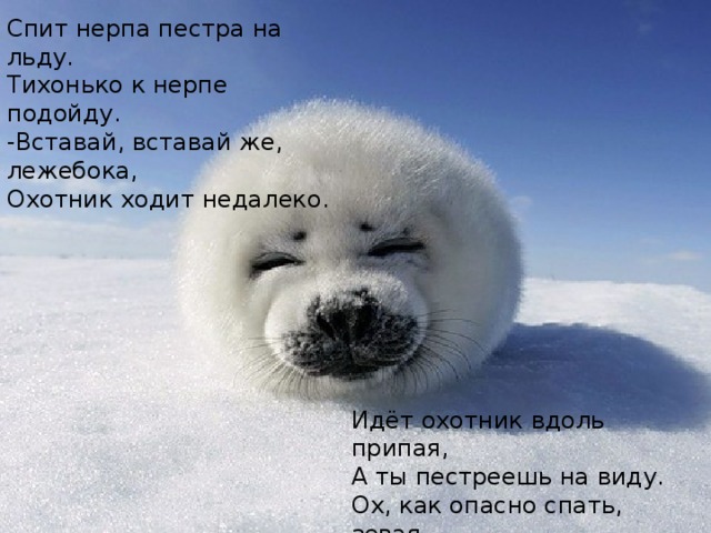 Спит нерпа пестра на льду. Тихонько к нерпе подойду. -Вставай, вставай же, лежебока, Охотник ходит недалеко. В зарослях можно познакомиться с вопросами предложного падежа. Проверьте свои знания, нажав на вопрос. Идёт охотник вдоль припая, А ты пестреешь на виду. Ох, как опасно спать, зевая На белом, как бумага, льду