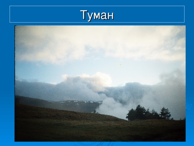 Туман