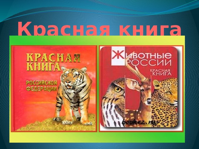 Красная книга