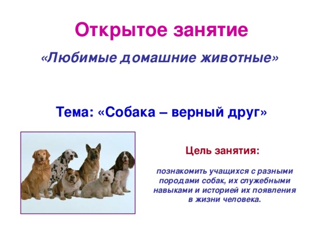 Открытое занятие «Любимые домашние животные» Тема: «Собака – верный друг» Цель занятия: познакомить учащихся с разными породами собак, их служебными навыками и историей их появления в жизни человека.