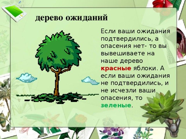 дерево ожиданий Если ваши ожидания подтвердились, а опасения нет- то вы вывешиваете на наше дерево красные яблоки. А если ваши ожидания не подтвердились, и не исчезли ваши опасения, то зеленые .