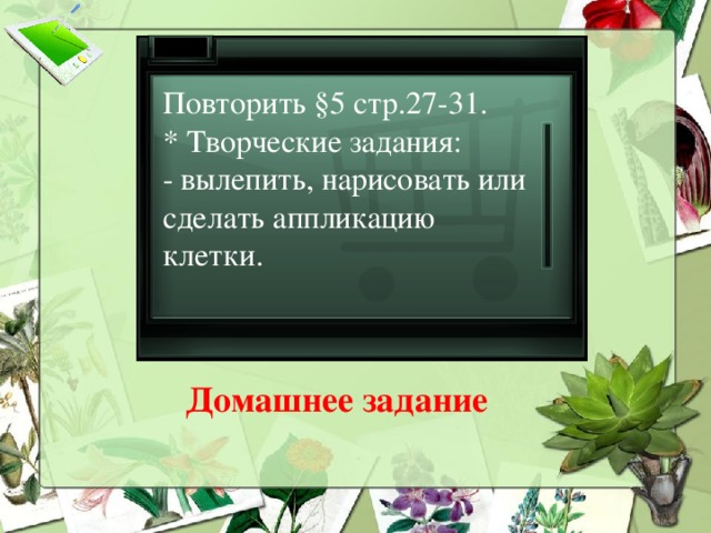 Повторить §5 стр.27-31. * Творческие задания: - вылепить, нарисовать или сделать аппликацию клетки. Домашнее задание