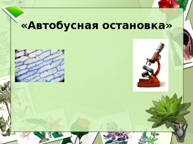 «Автобусная остановка» Строение микроскопа Строение и функции клетки Правила работы с микроскопом