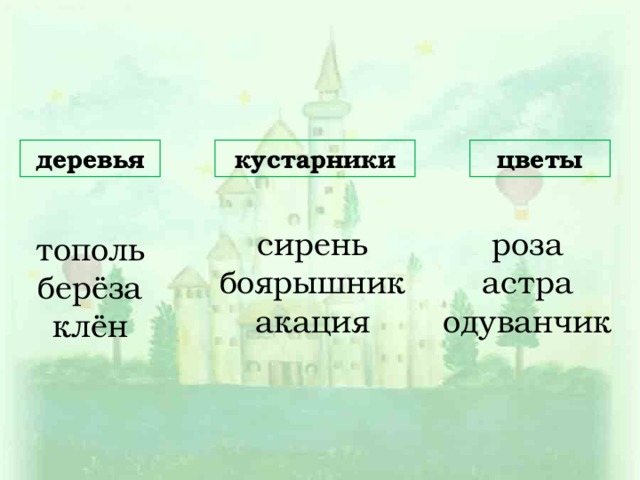 деревья кустарники цветы сирень боярышник акация роза астра одуванчик тополь берёза клён