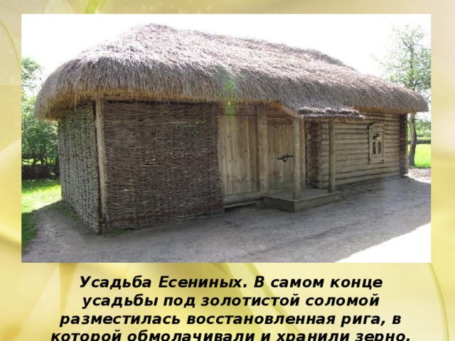 Усадьба Есениных. В самом конце усадьбы под золотистой соломой разместилась восстановленная рига, в которой обмолачивали и хранили зерно.