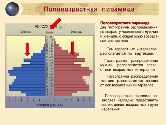 Половозрастная пирамида – две гистограммы распределения по возрасту численности мужчин и женщин, с общей осью возраст-ных интервалов.  Ось возрастных интервалов располагается по вертикали.  Гистограмма распределения мужчин располагается слева от оси возрастных интервалов.  Гистограмма распределения женщин располагается справа от оси возрастных интервалов.  Половозрастная пирамида по-зволяет наглядно представить соотношение возрастных групп населения.