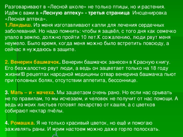 Разговаривают в «Лесной школе» не только птицы, но и растения.   Идём с вами в  «Лесную аптеку» -   третья страница Инсценировка «Лесная аптека». Ландыш.   Из меня изготавливают капли для лечения сердечных заболеваний. Но надо помнить: чтобы я зацвёл, с того дня как семечко упало в землю, должно пройти 10 лет.К сожалению, люди рвут меня неумело. Было время, когда меня можно было встретить повсюду, а сейчас я нуждаюсь в защите.   Венерин башмачок .  Венерин башмачок занесен в Красную книгу. Его безжалостно рвут люди, а ведь он зацветает только на 18 году жизни!В рецептах народной медицины отвар венерина башмачка пьют при головных болях, отсутствии аппетита, бессоннице.  3. Мать – и - мачеха .  Мы зацветаем очень рано. Но если нас срывать не по правилам, то мы исчезаем, и человек не получит от нас помощи. А ведь из моих листьев готовят лекарство от кашля, а с цветков собирают нектар пчёлы.    4. Ромашка.   Я не только красивый цветок, но ещё и помогаю заживлять раны. И моим настоем можно даже горло полоскать.